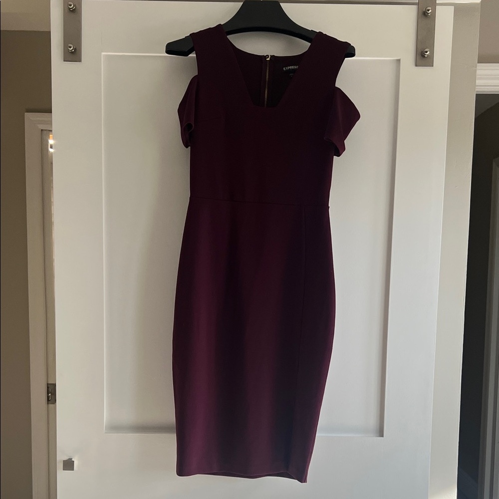 Express Deep Purple Mini Dress